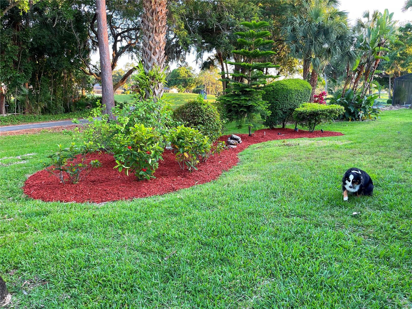 Image 6 of 31 For 4952 Rutland Gate