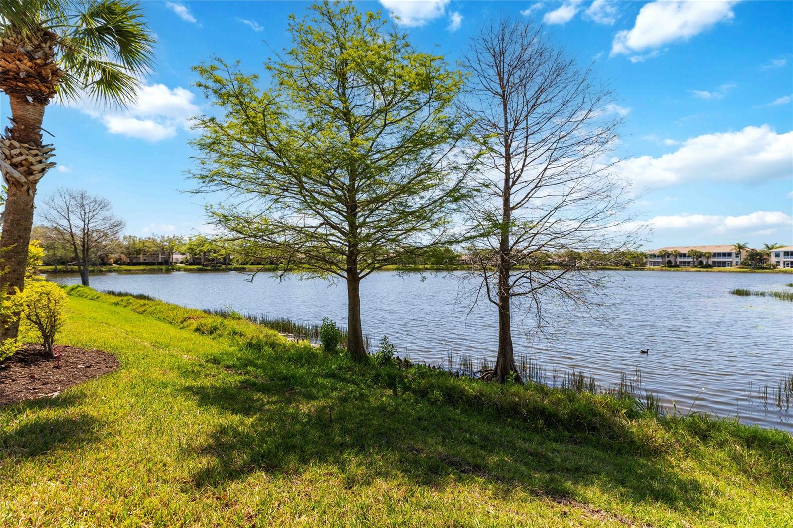 Image 19 of 23 For 1430 Burgos Drive