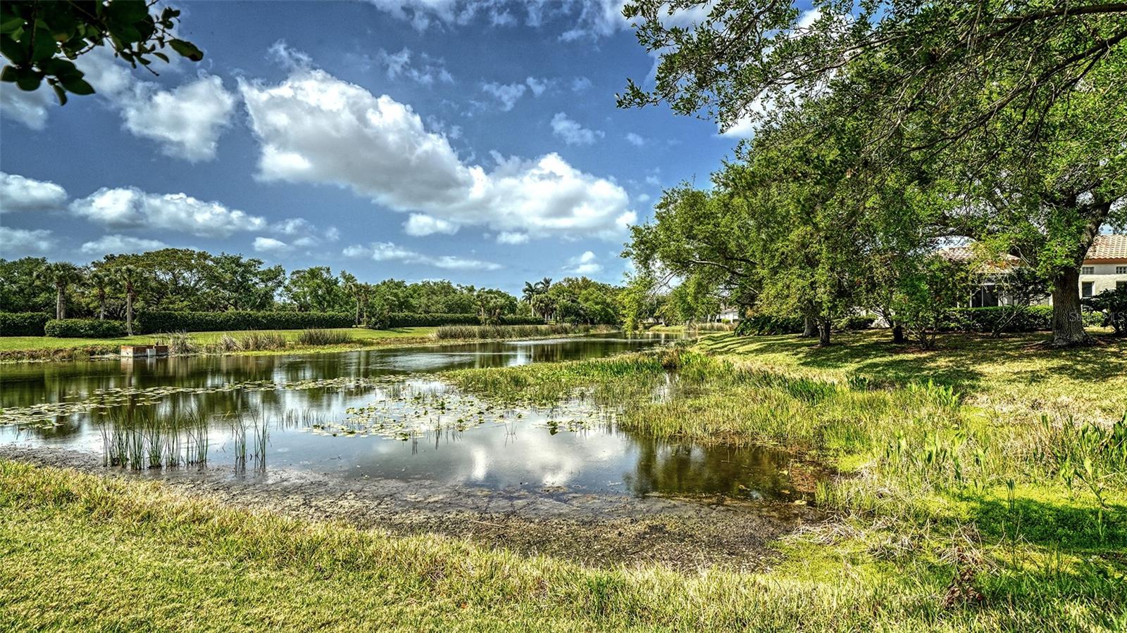 Image 42 of 59 For 3799 Mira Lago Drive