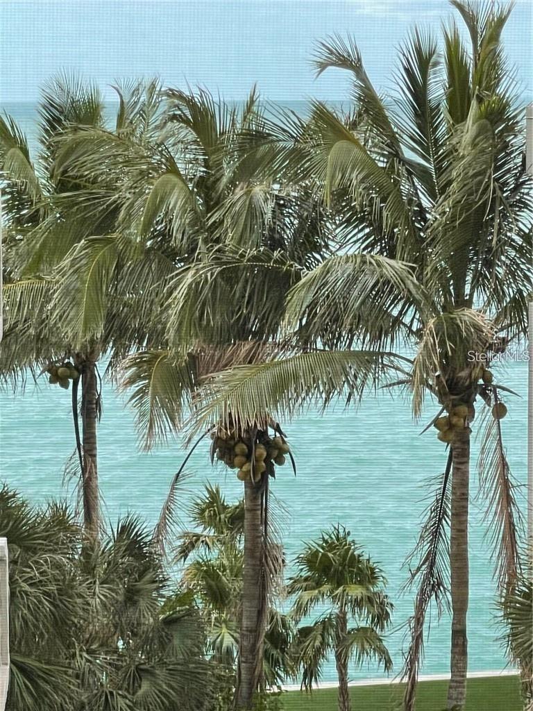 Image 24 of 45 For 4822 Ocean Boulevard 5e