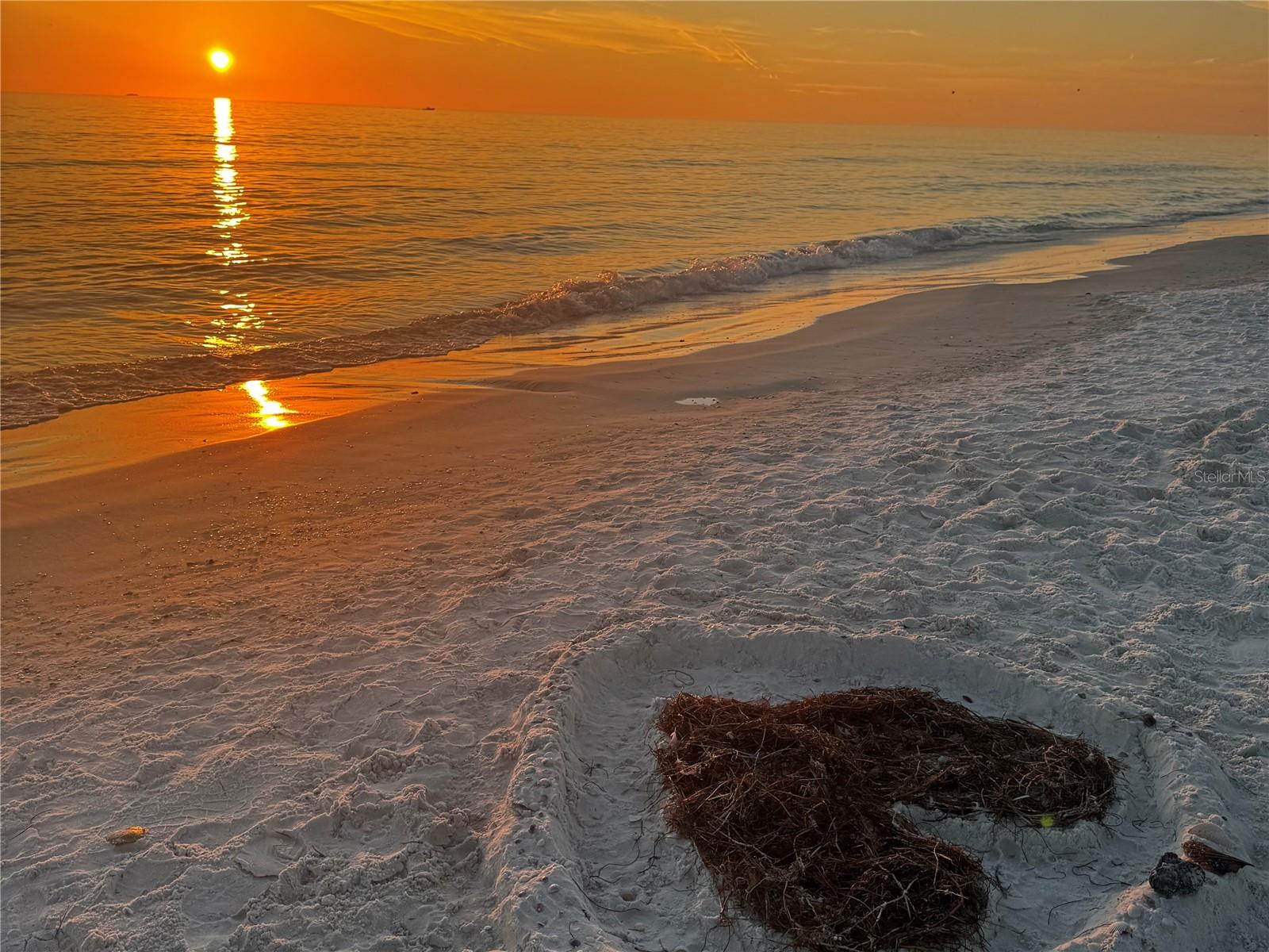 Image 97 of 98 For 348 Sapphire Lake Drive 101