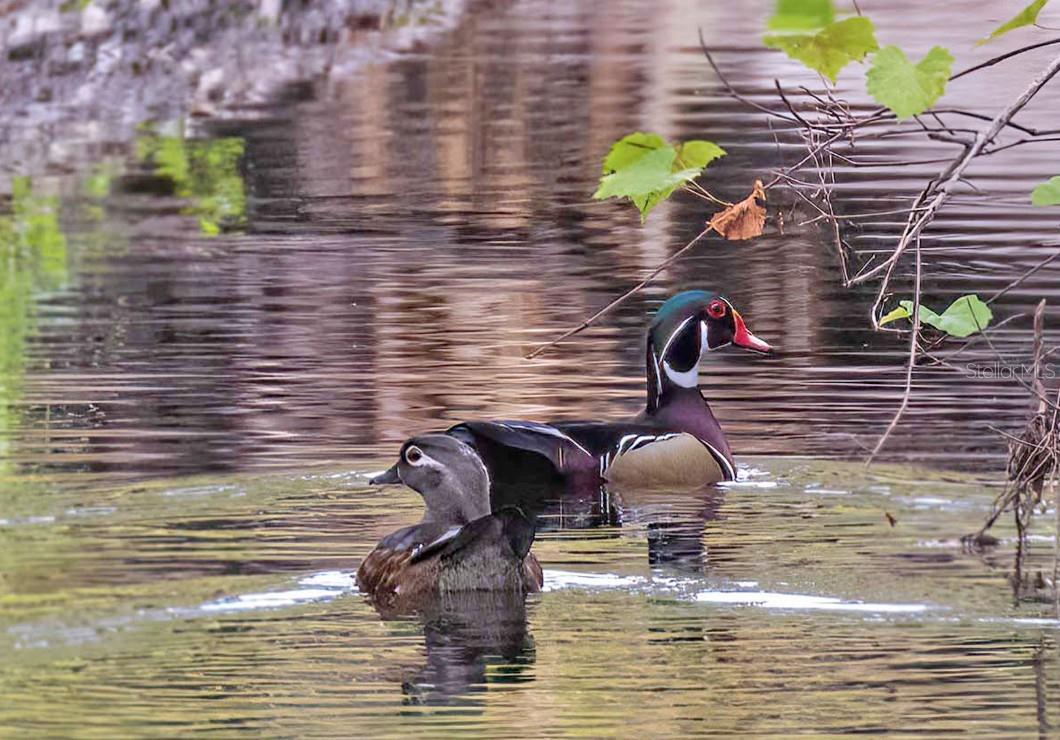 Image 36 of 49 For 4456 Streamside Court 1605