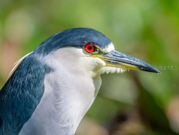 Image 41 of 49 For 4456 Streamside Court 1605