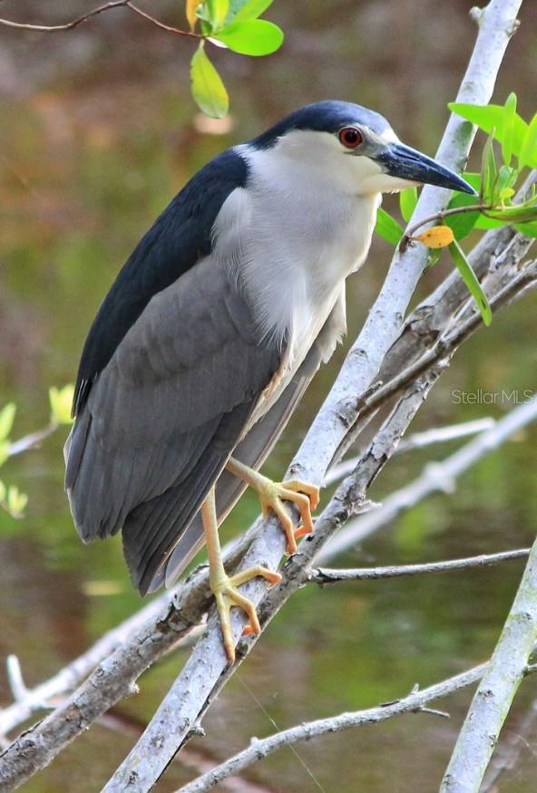 Image 28 of 41 For 4456 Streamside Court 1605