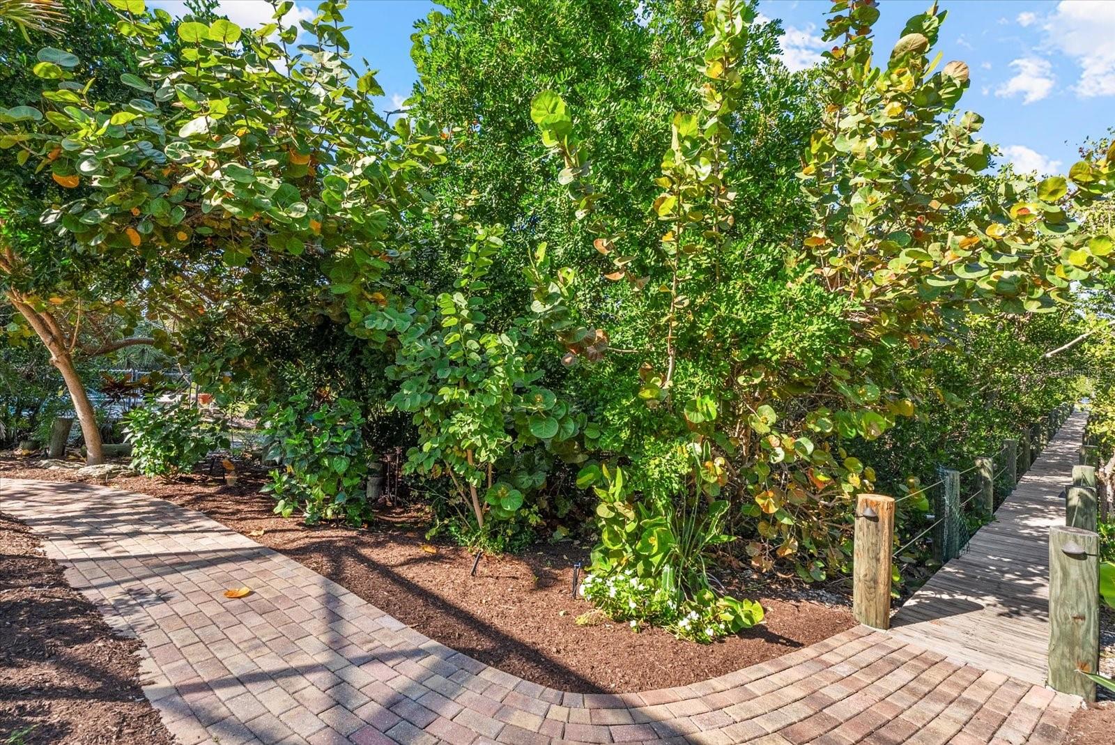 Image 36 of 61 For 704 Tropical Circle