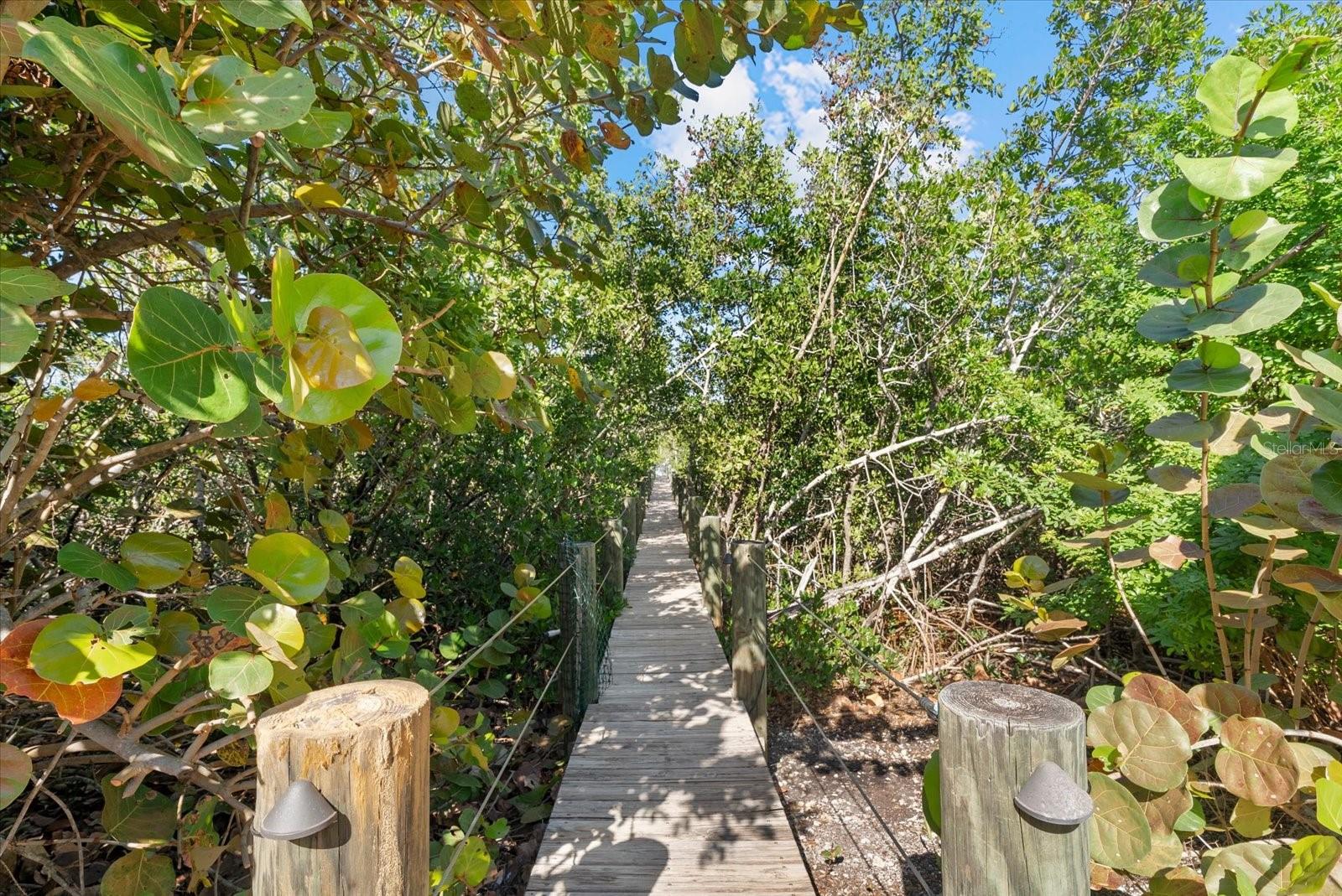 Image 37 of 61 For 704 Tropical Circle