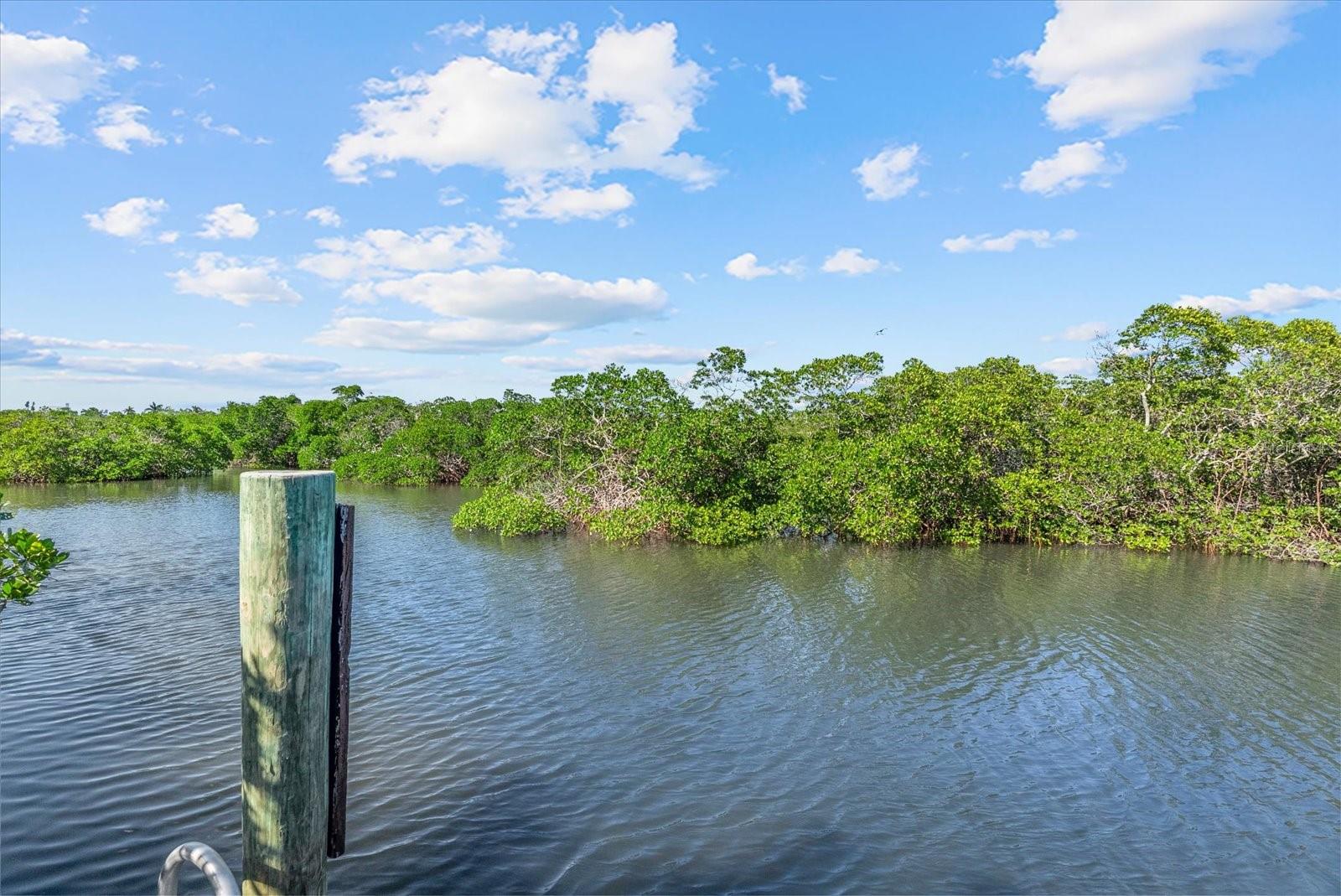 Image 40 of 61 For 704 Tropical Circle