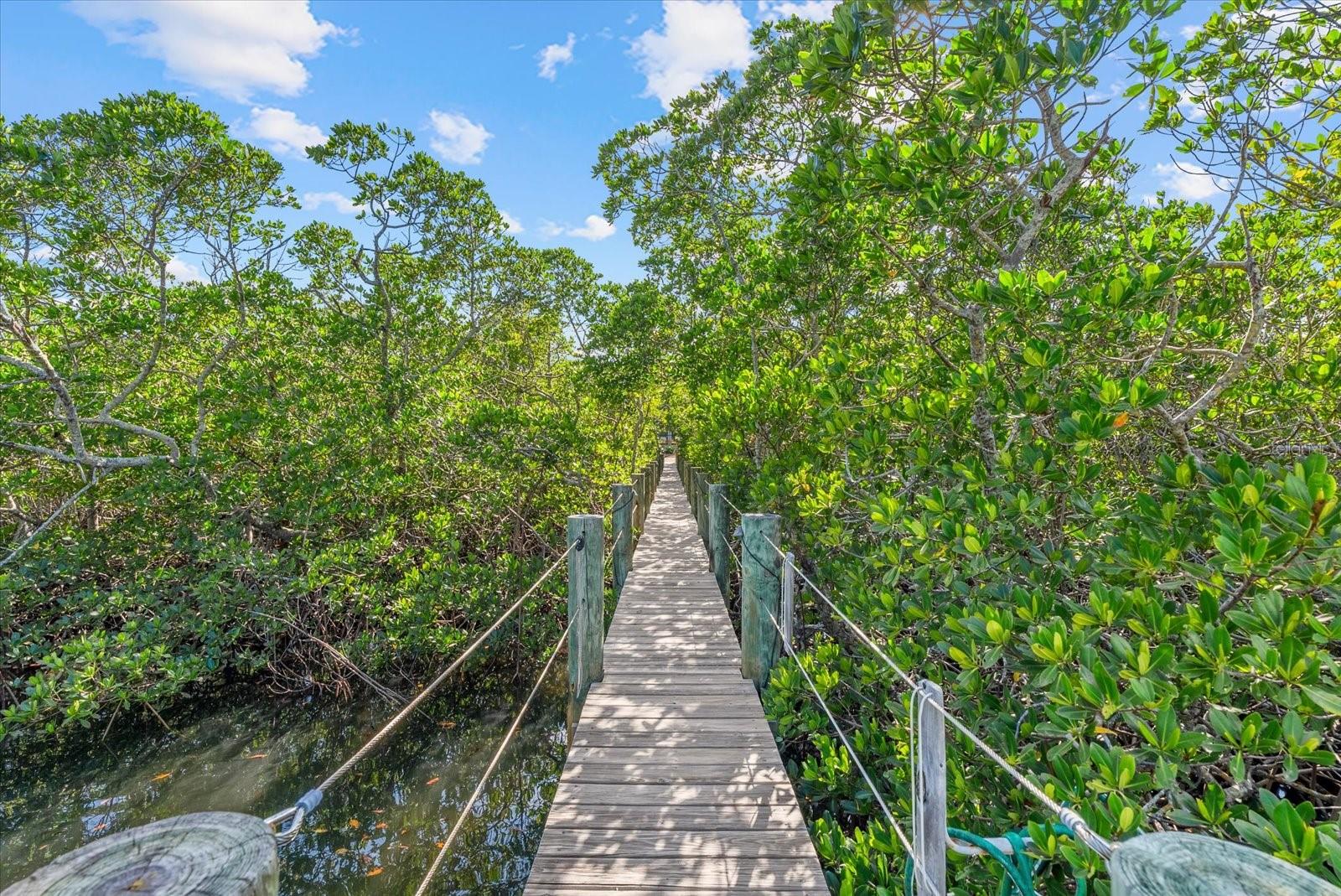 Image 42 of 61 For 704 Tropical Circle