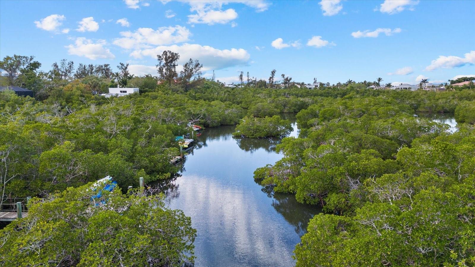 Image 52 of 61 For 704 Tropical Circle