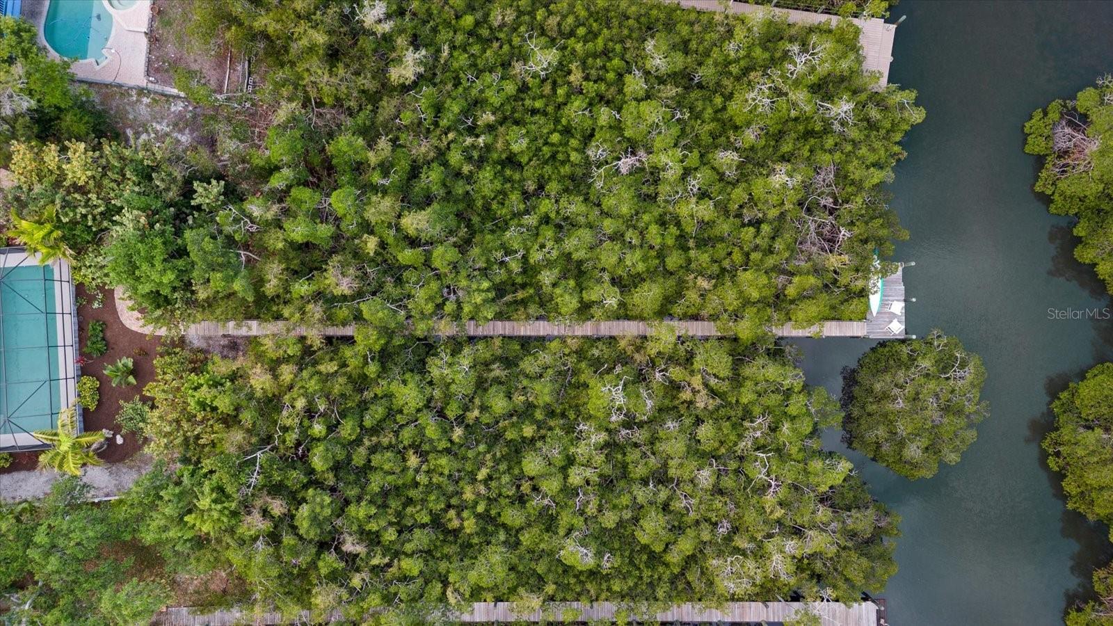 Image 54 of 61 For 704 Tropical Circle