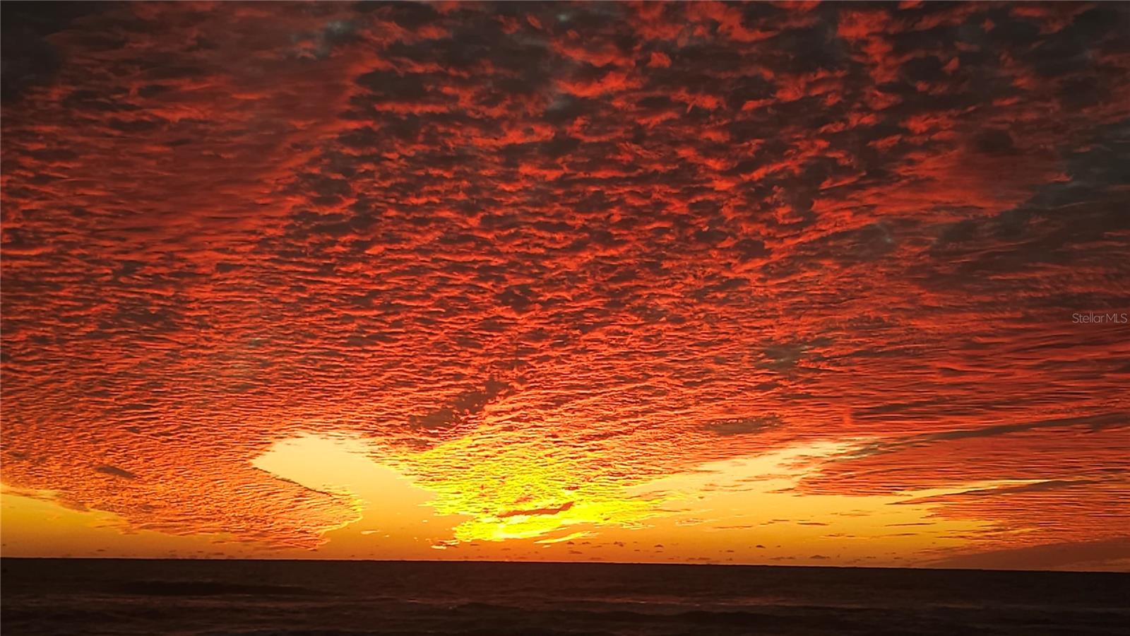 Image 31 of 37 For 3317 Pine Valley Drive