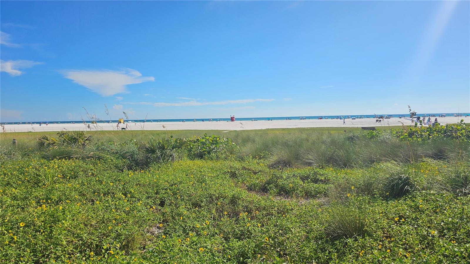 Image 36 of 37 For 3317 Pine Valley Drive