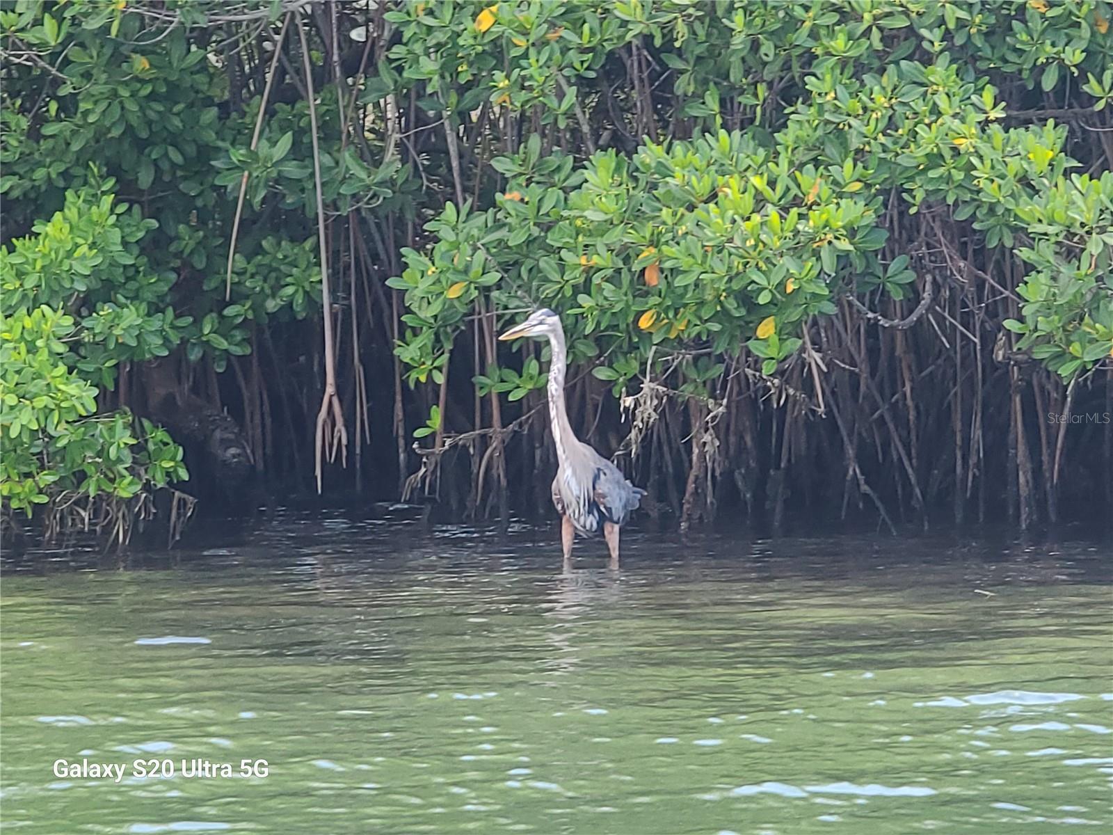 Image 59 of 78 For 360 Gulf Of Mexico Drive 312
