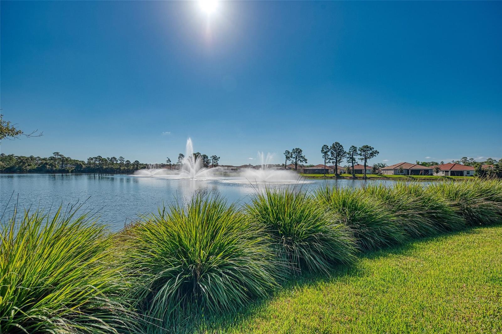 Image 62 of 72 For 11455 Blackfin Street