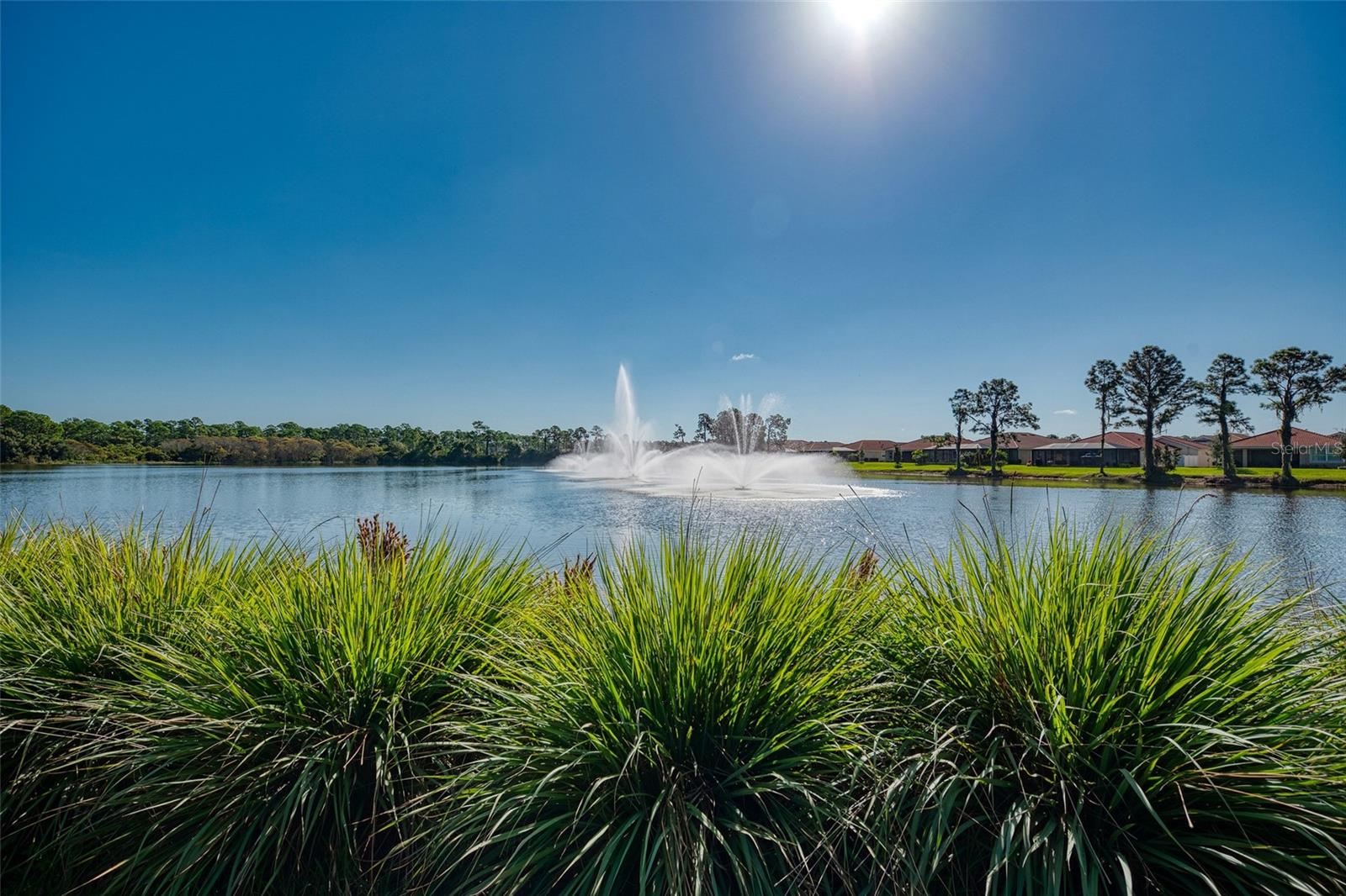 Image 63 of 72 For 11455 Blackfin Street