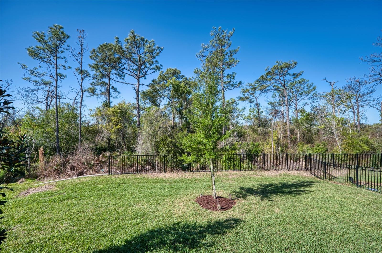 Image 37 of 38 For 13941 Lilac Sky Terrace