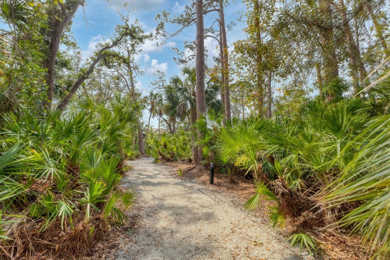 Image 47 of 70 For 3351 Thornwood Road 3351