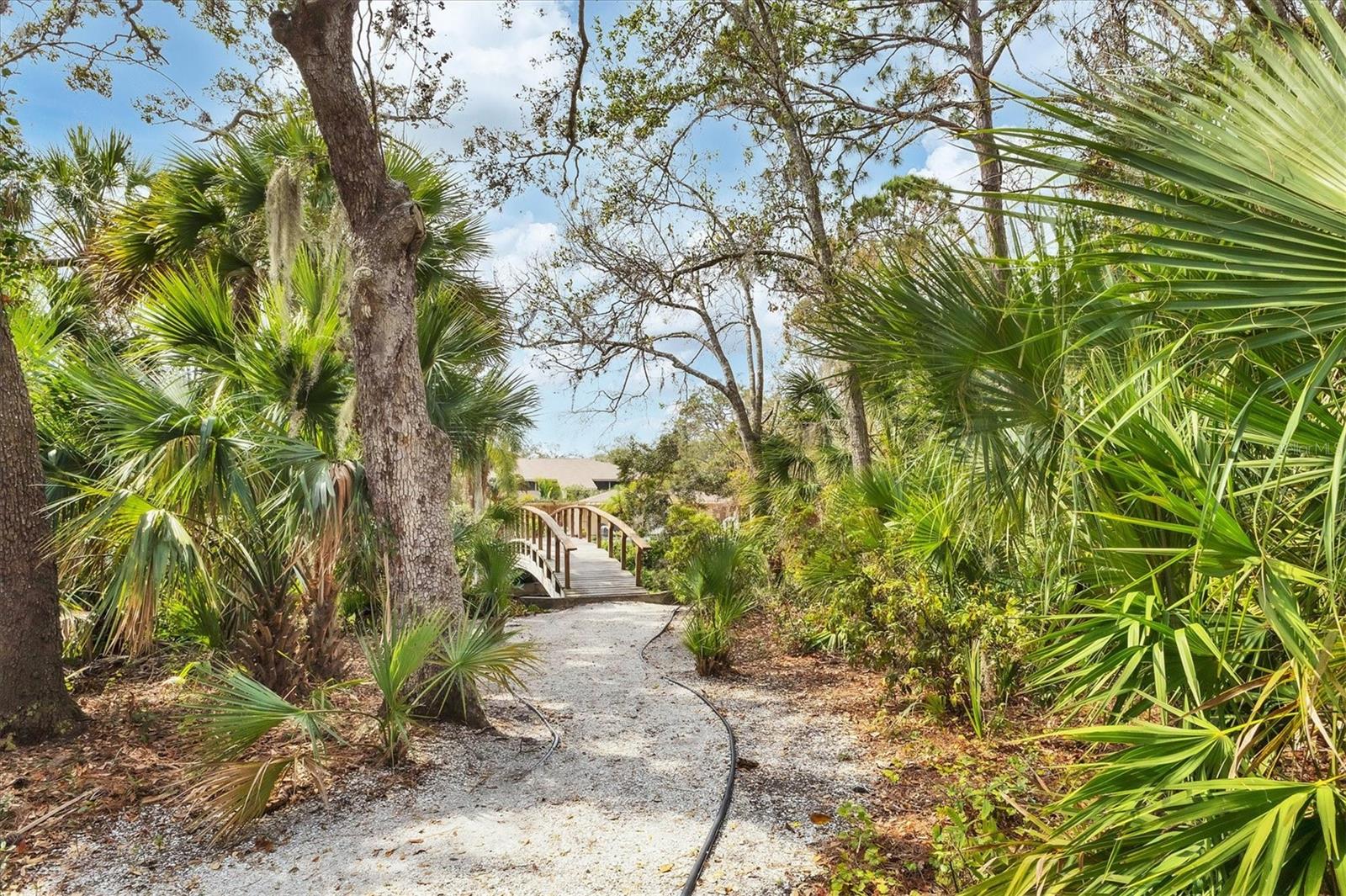 Image 48 of 70 For 3351 Thornwood Road 3351