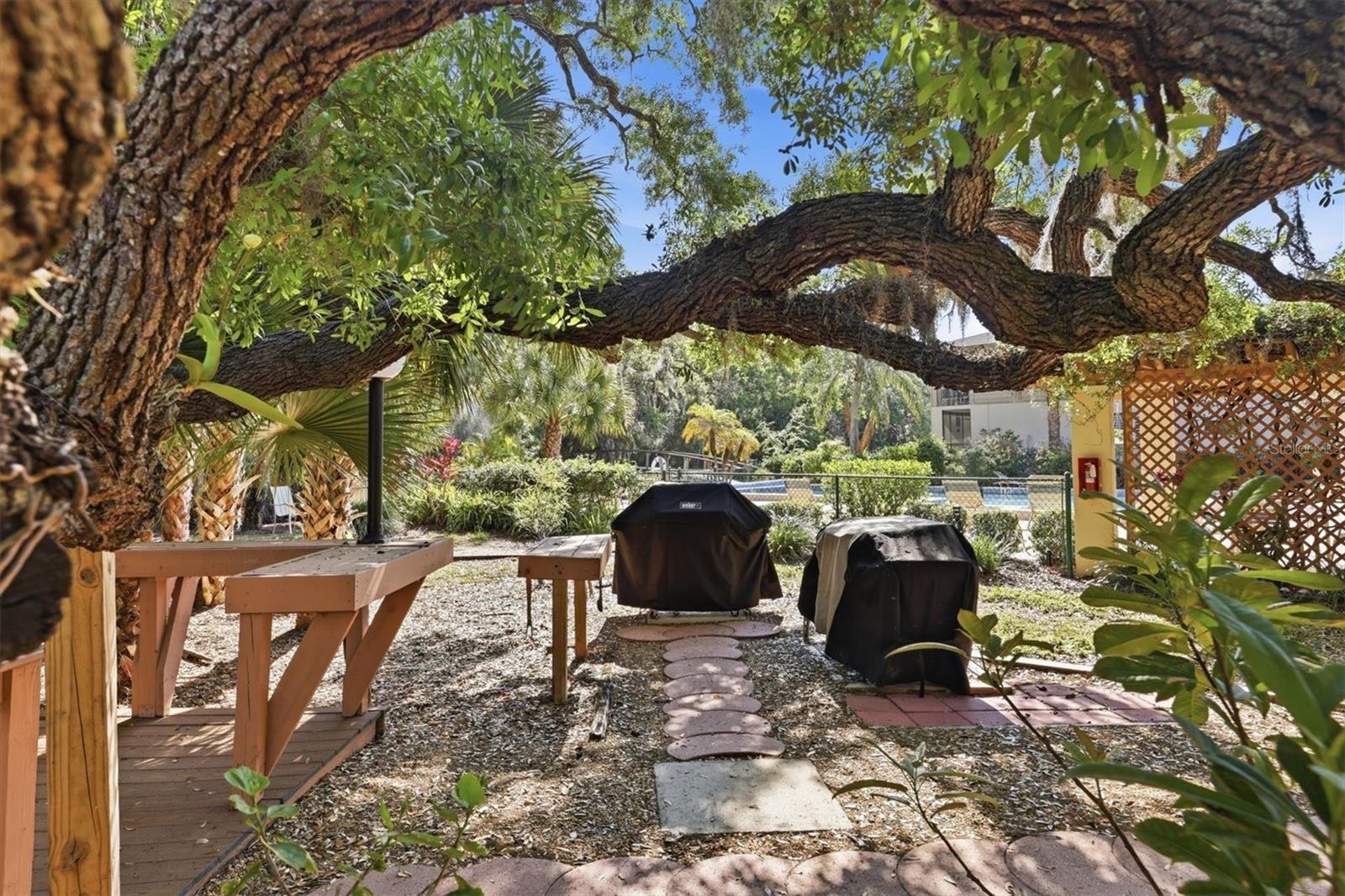 Image 52 of 70 For 3351 Thornwood Road 3351