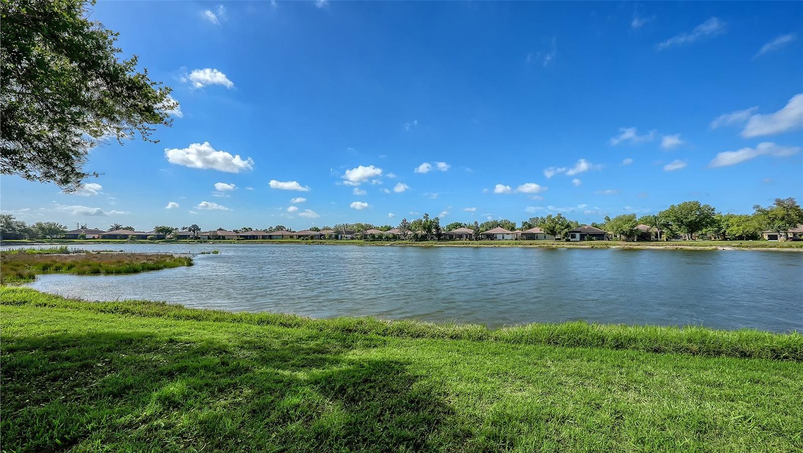 Image 40 of 55 For 11121 Campazzo Drive