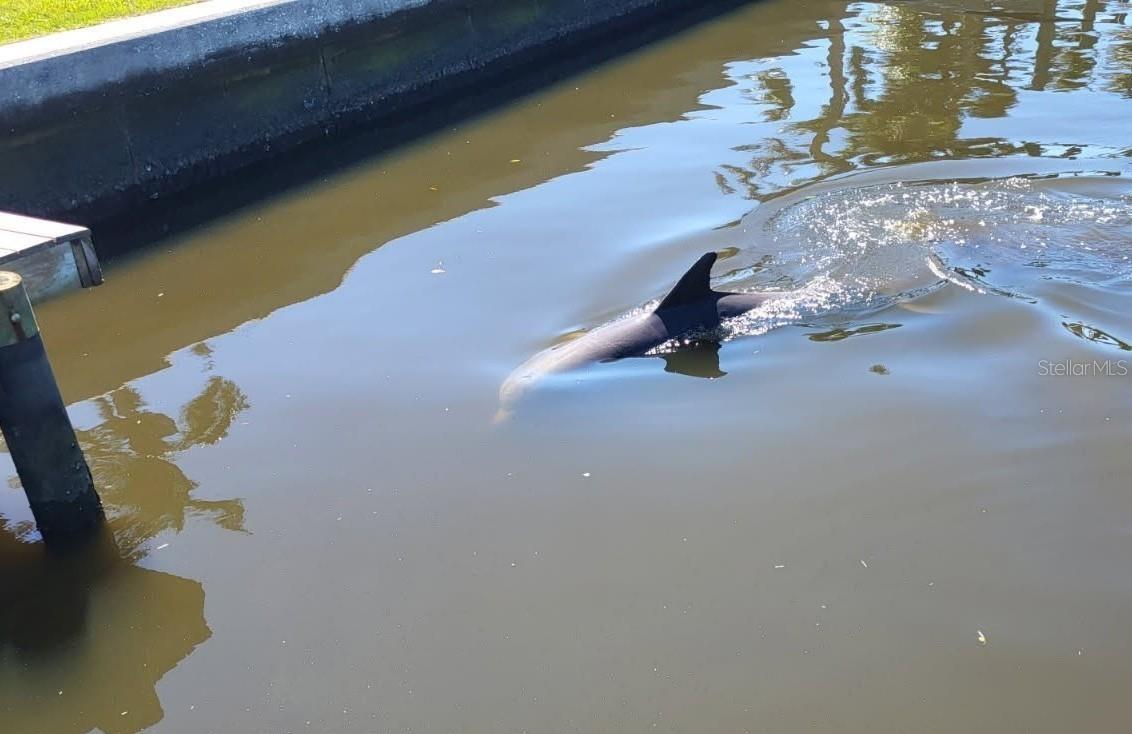 Listing photo id 53 for 6912 7th Avenue Boulevard Nw