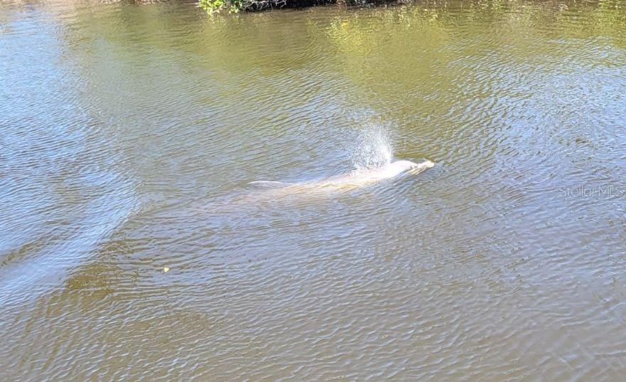 Listing photo id 54 for 6912 7th Avenue Boulevard Nw