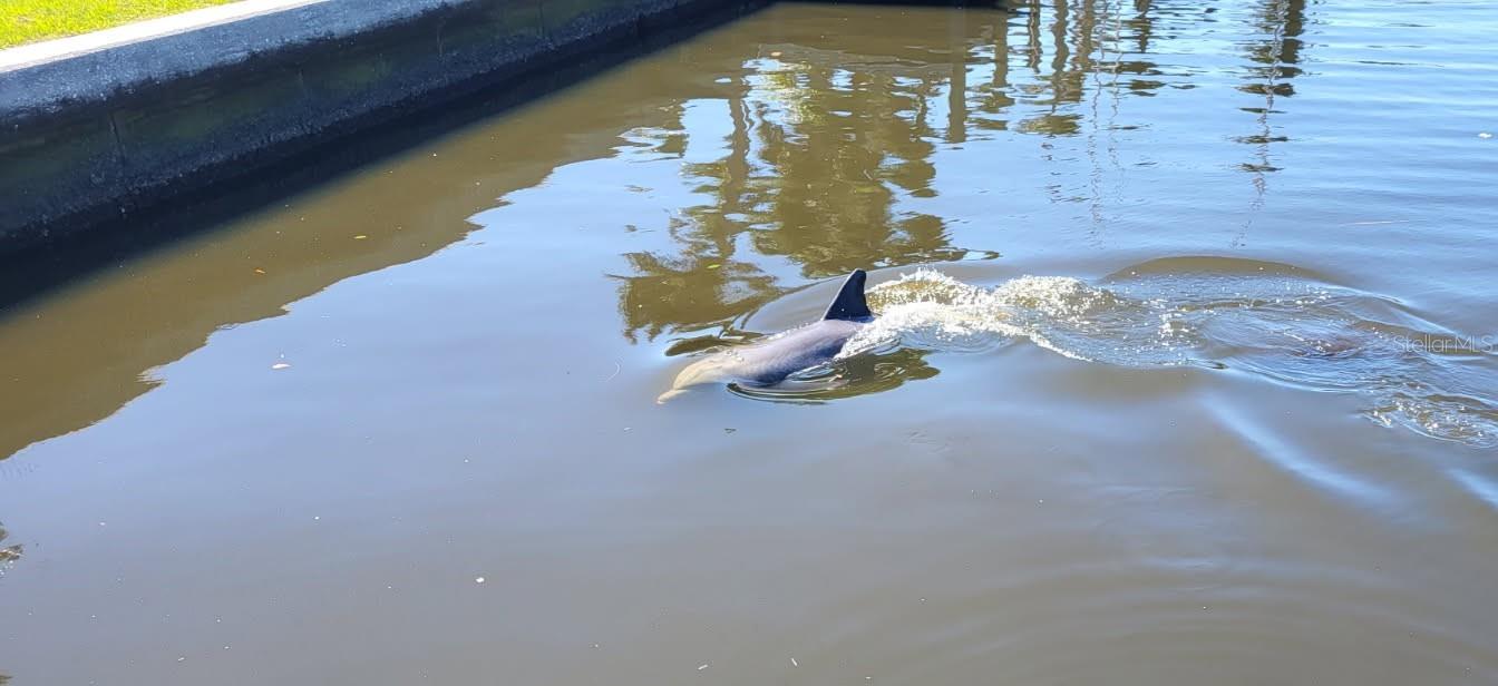 Listing photo id 55 for 6912 7th Avenue Boulevard Nw