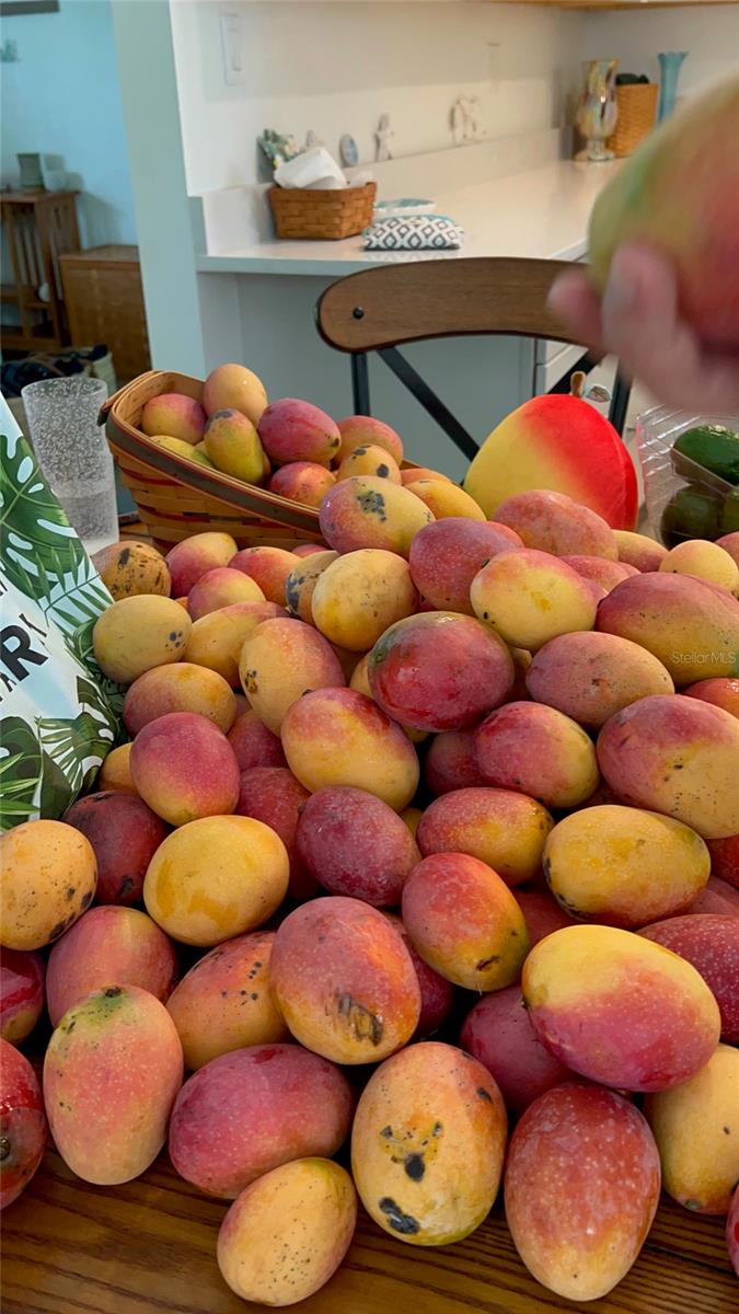 Image 24 of 33 For 4620 7th Avenue W