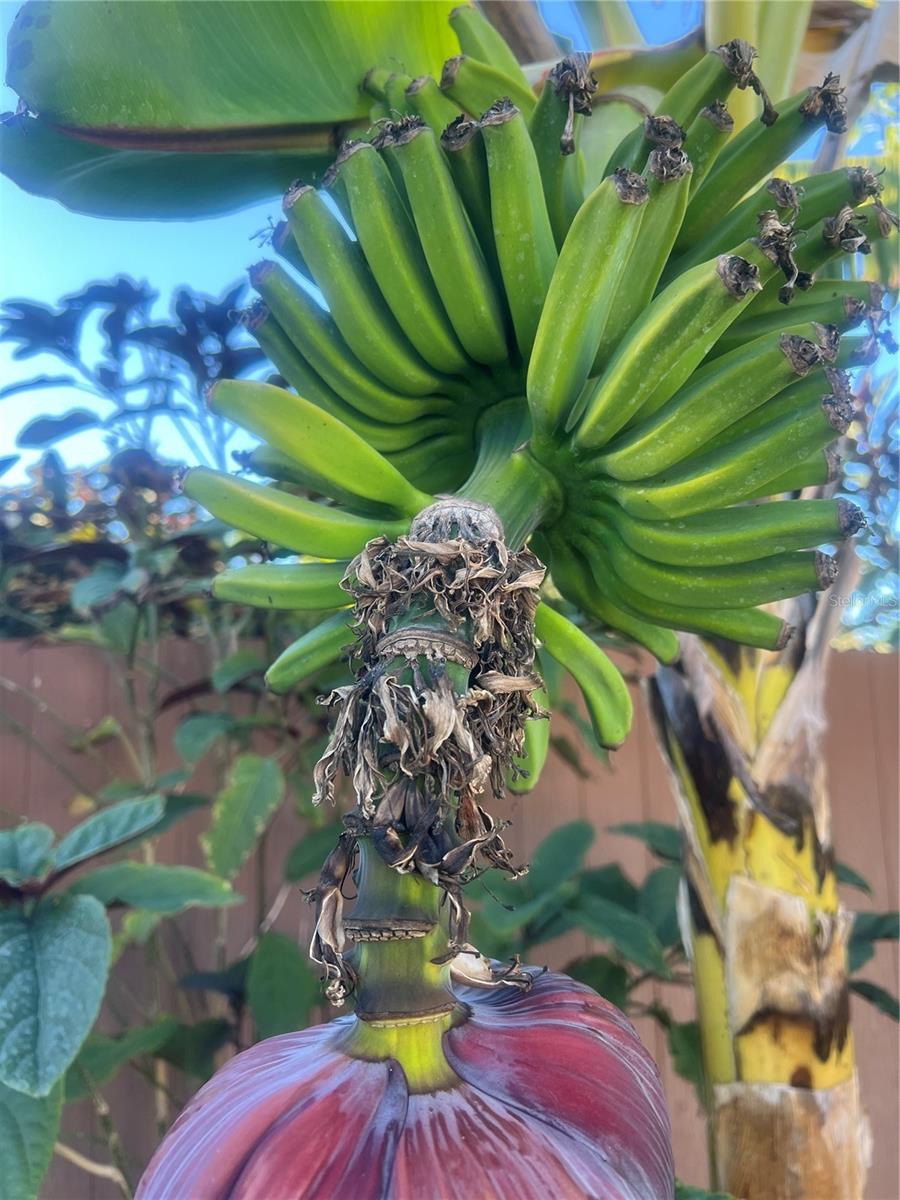 Image 26 of 33 For 4620 7th Avenue W