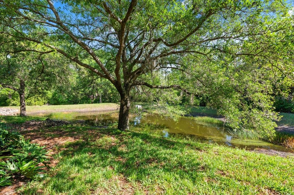 Image 30 of 36 For 5567 Key West Place 5567