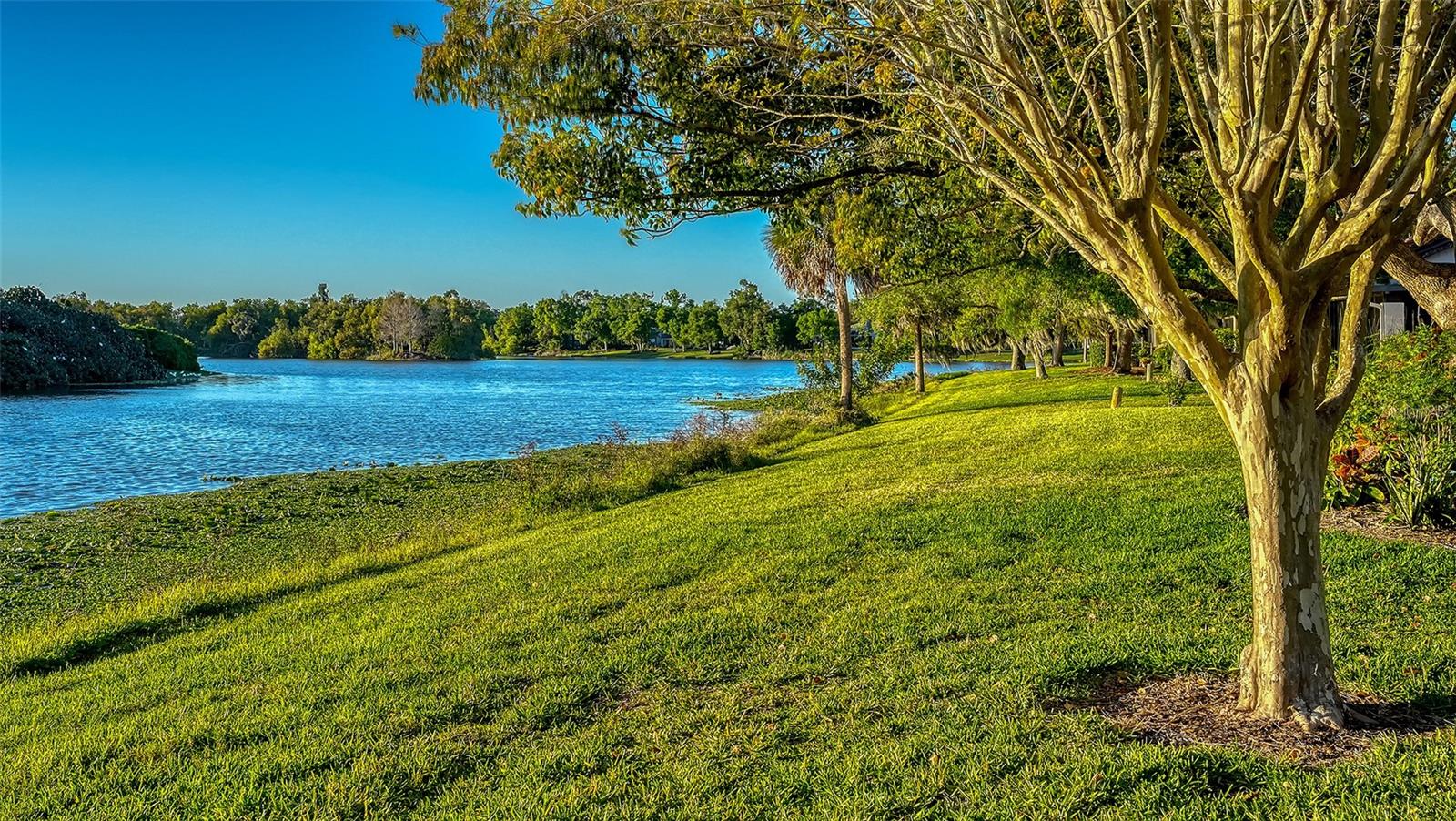 Image 40 of 54 For 7363 Oak Moss Drive 33