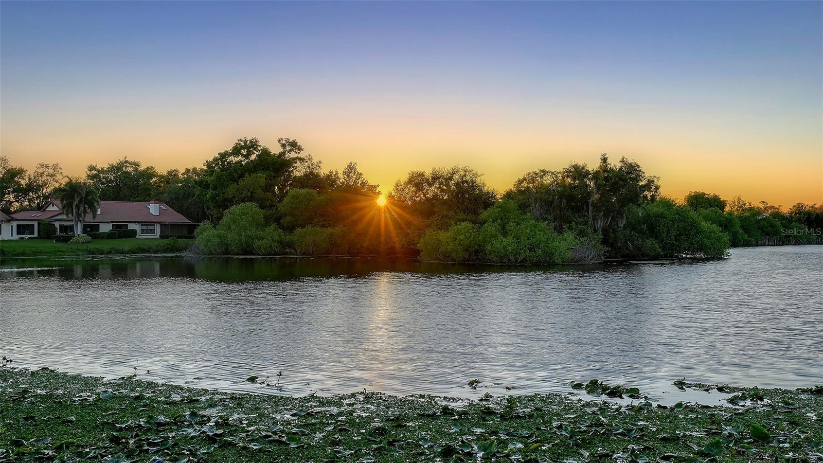 Image 41 of 54 For 7363 Oak Moss Drive 33