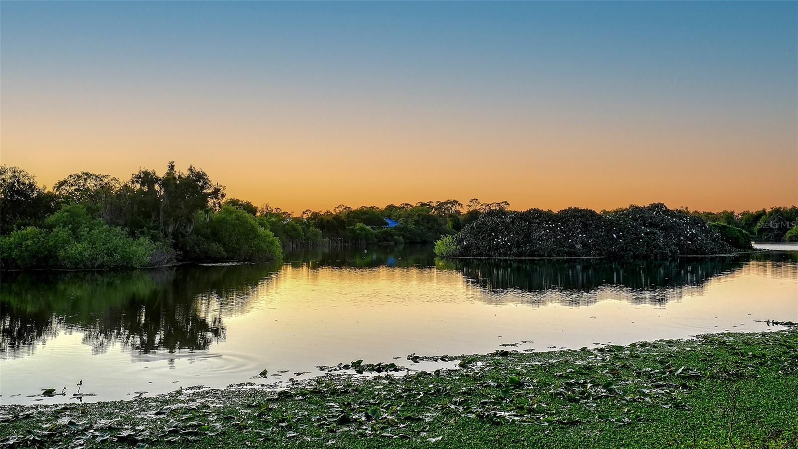 Image 42 of 54 For 7363 Oak Moss Drive 33