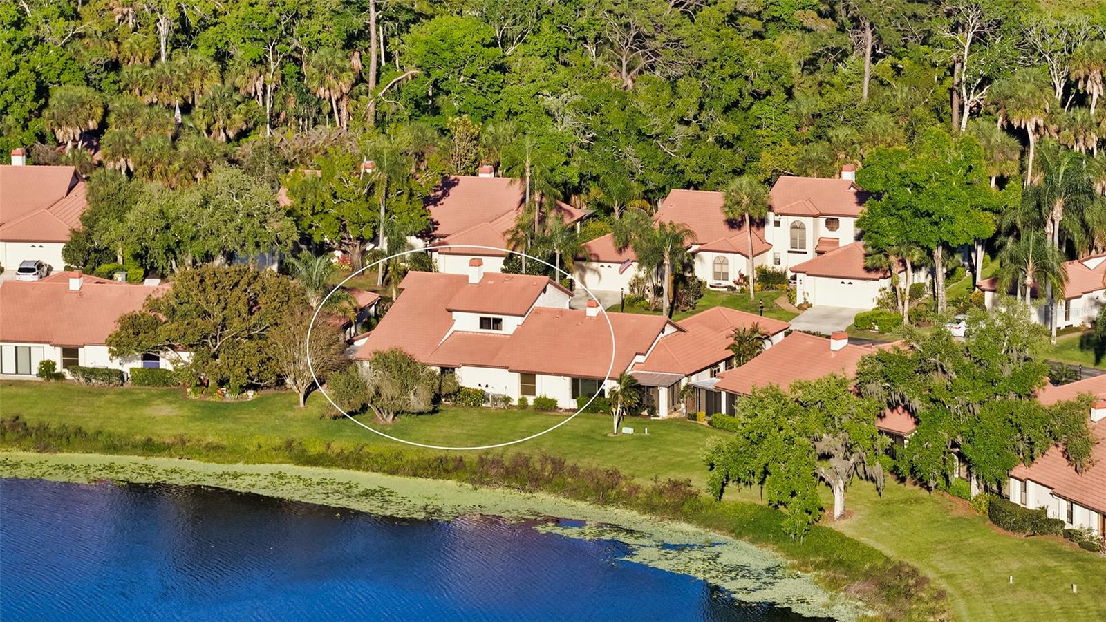 Image 45 of 54 For 7363 Oak Moss Drive 33