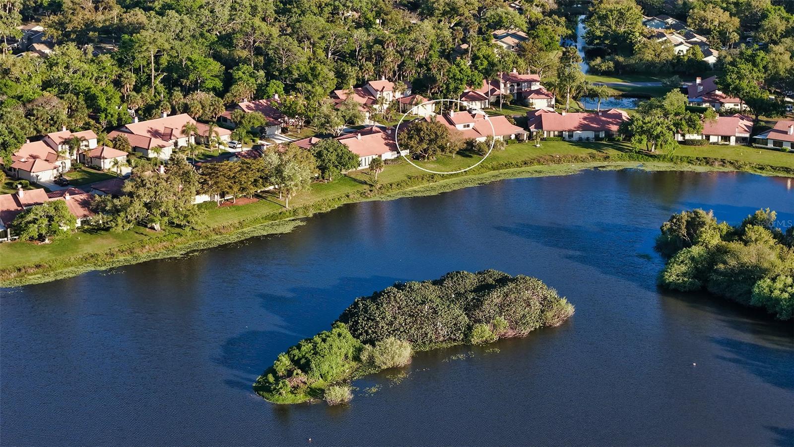 Image 46 of 54 For 7363 Oak Moss Drive 33