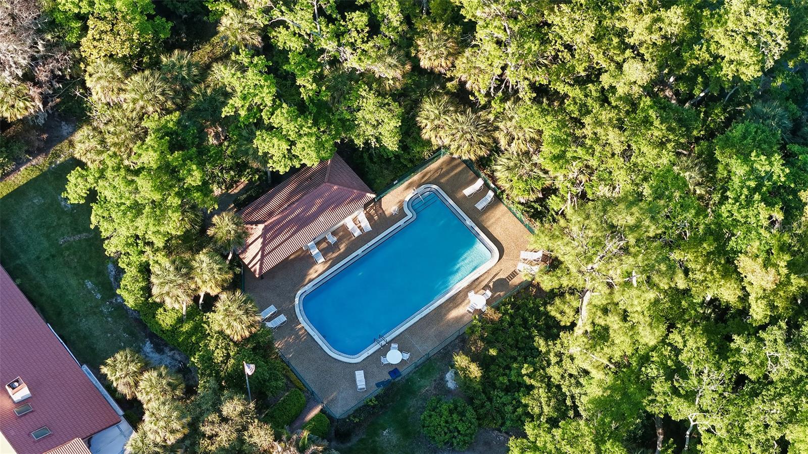 Image 47 of 54 For 7363 Oak Moss Drive 33