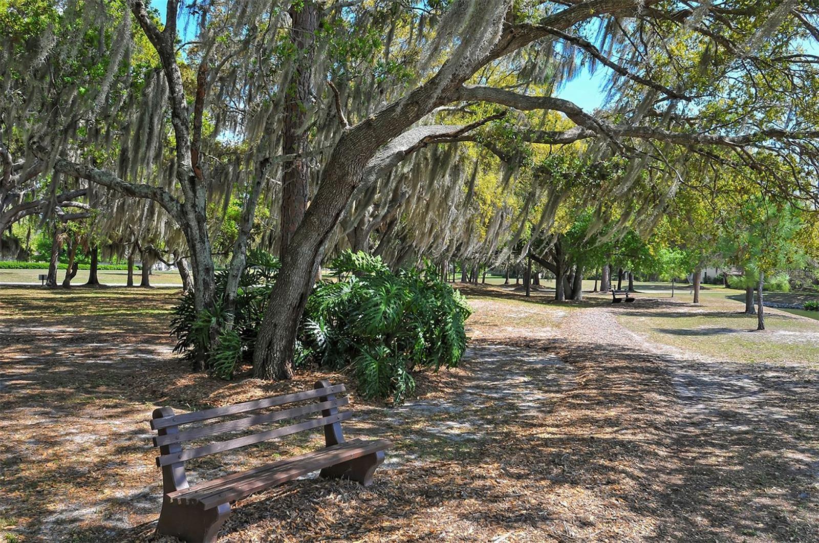 Image 53 of 54 For 7363 Oak Moss Drive 33