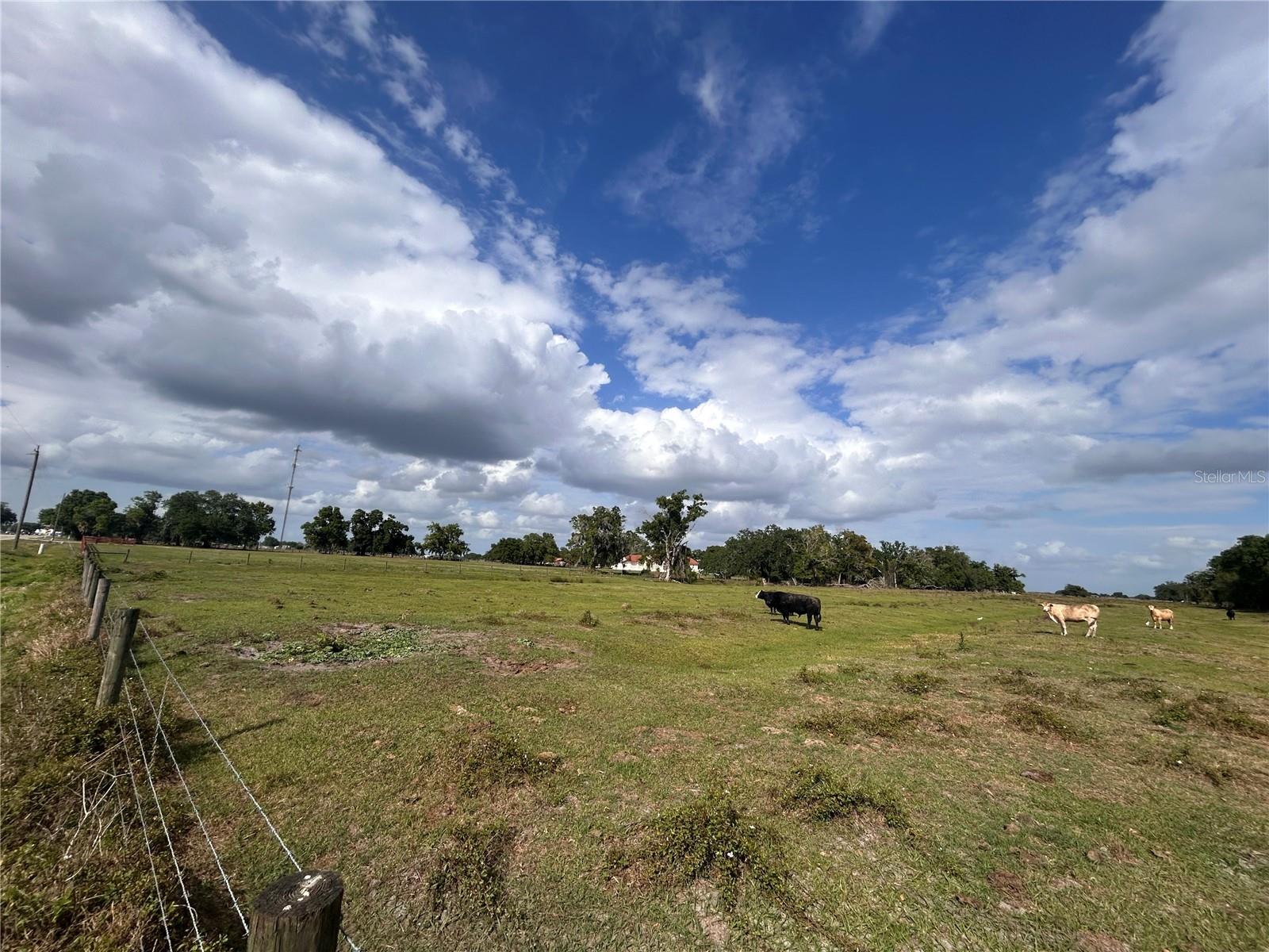 Image 2 of 9 For Washington Street