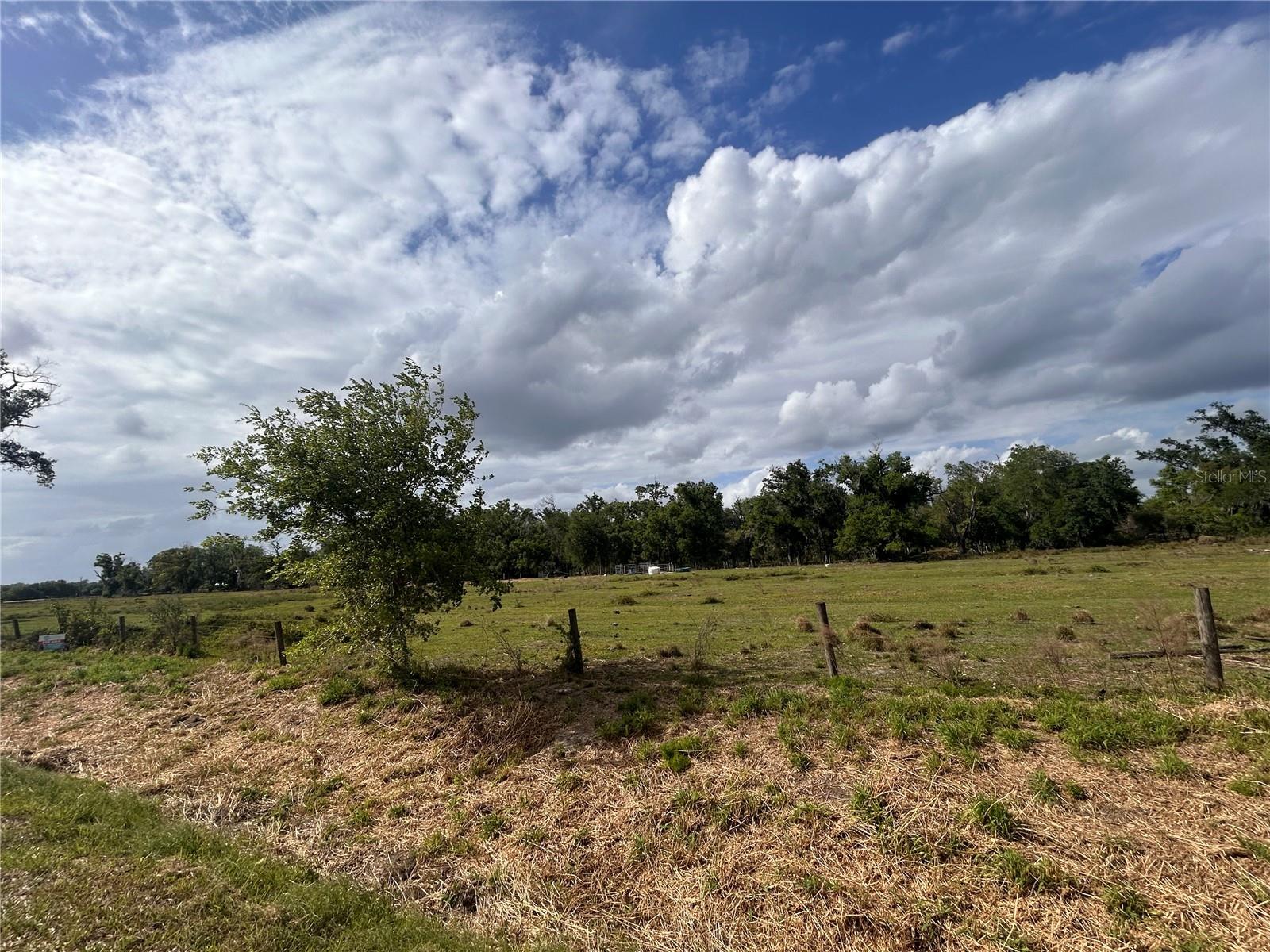 Image 6 of 9 For Washington Street