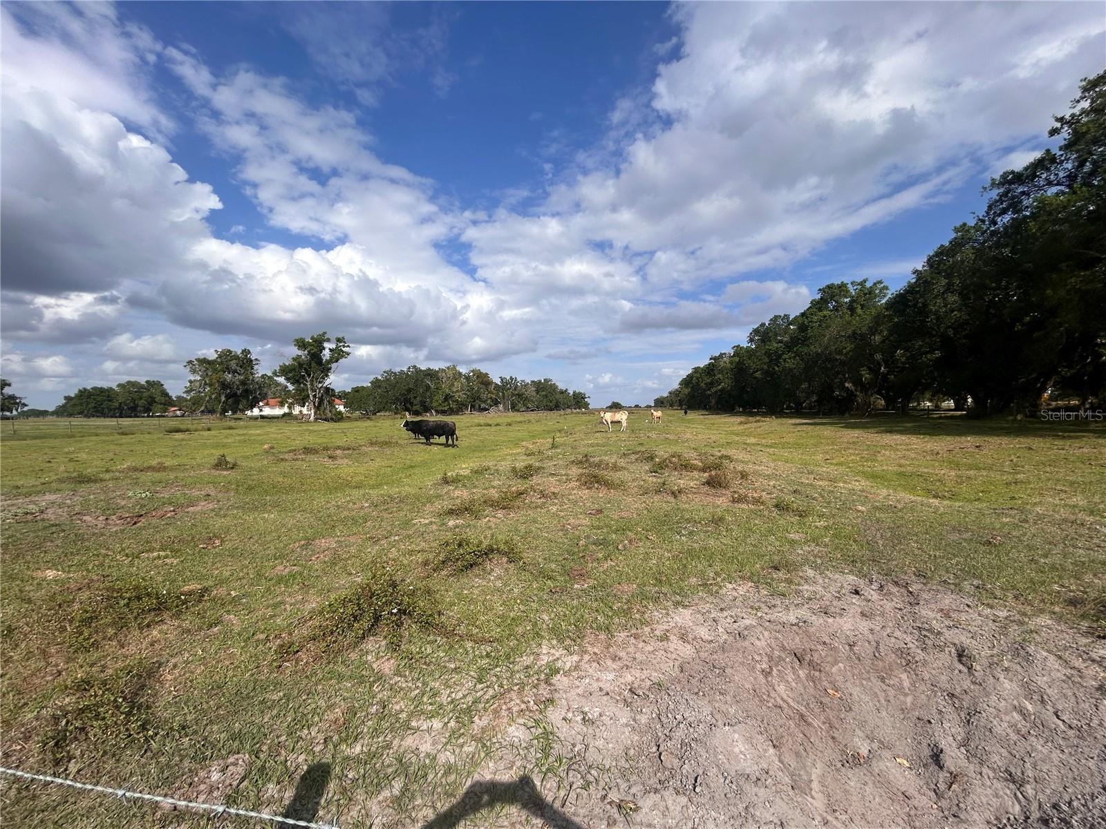 Image 8 of 9 For Washington Street