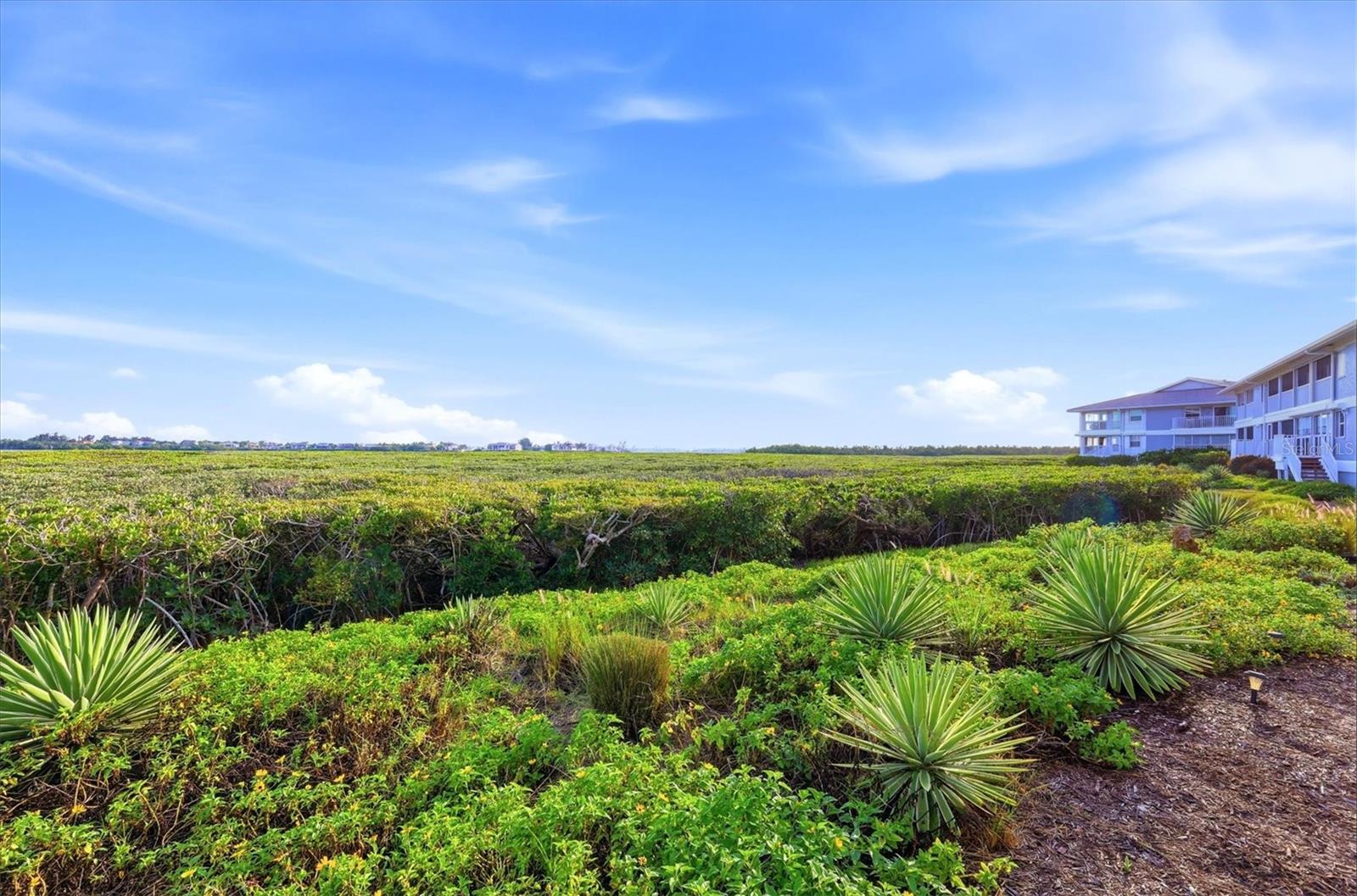 Image 39 of 75 For 1323 Perico Point Circle 107