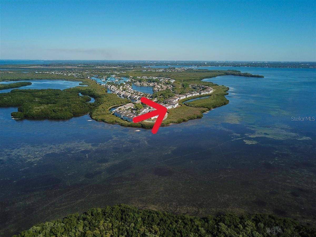 Image 4 of 75 For 1323 Perico Point Circle 107