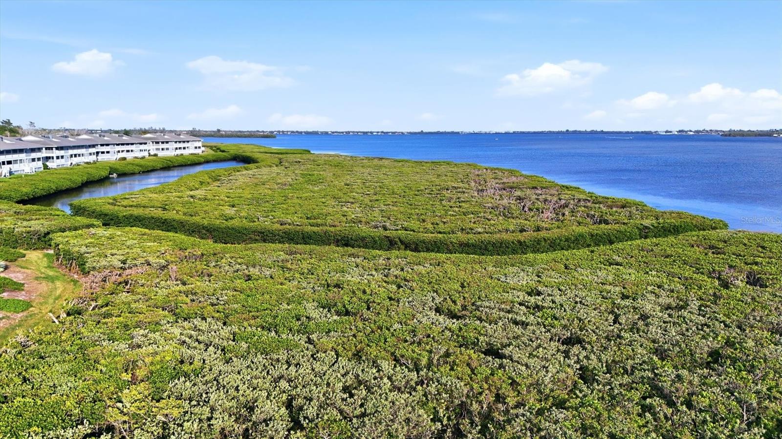 Image 51 of 75 For 1323 Perico Point Circle 107