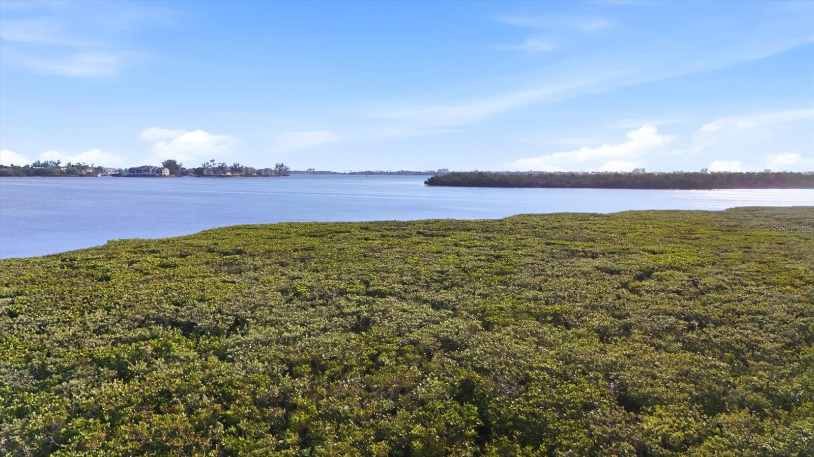 Image 52 of 75 For 1323 Perico Point Circle 107