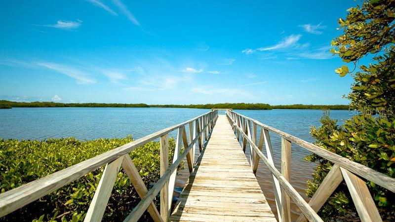 Image 56 of 75 For 1323 Perico Point Circle 107