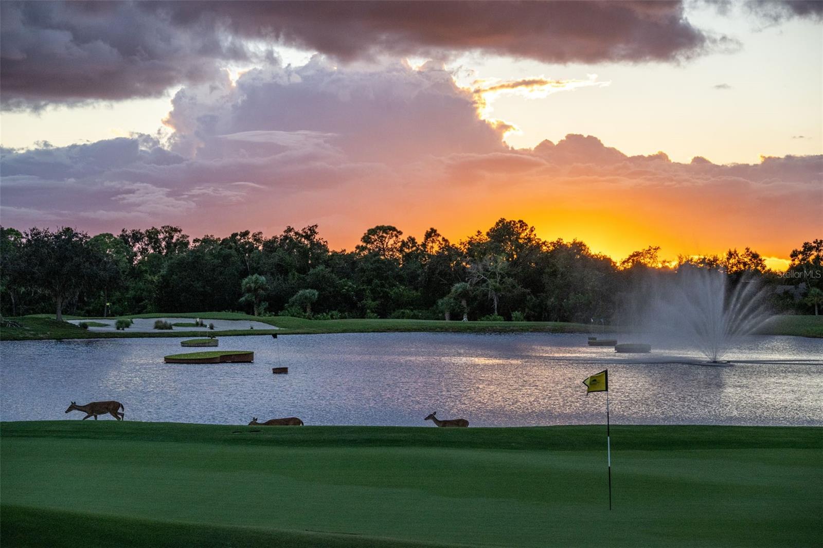 Image 67 of 100 For 5300 Mahogany Run Avenue