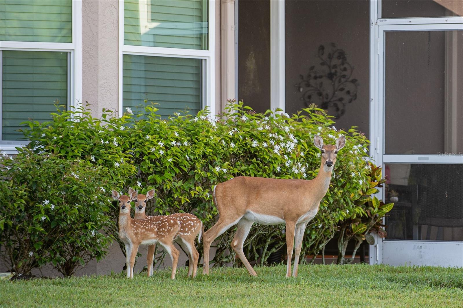 Image 72 of 100 For 5300 Mahogany Run Avenue