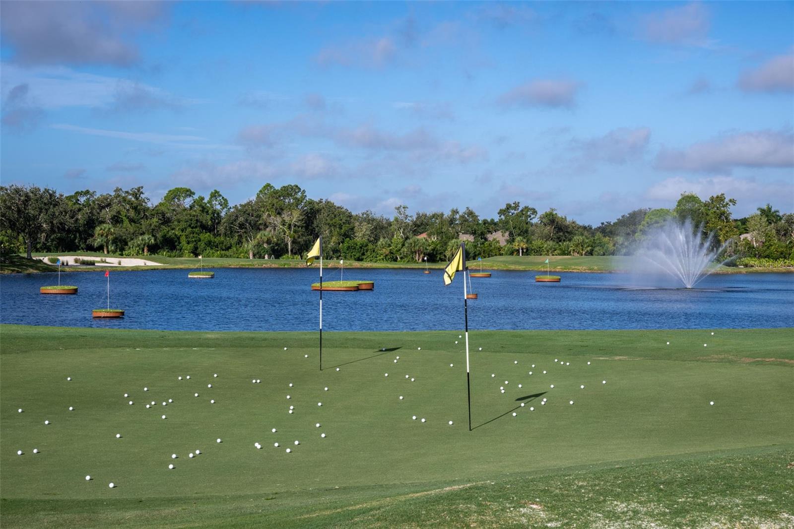 Image 90 of 100 For 5300 Mahogany Run Avenue