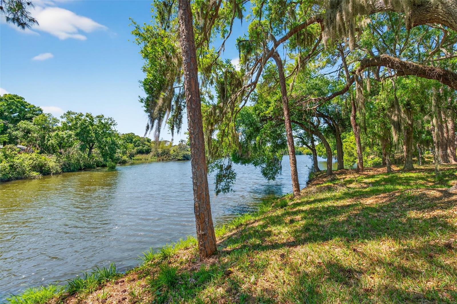 Image 50 of 55 For 4750 Tivoli Avenue