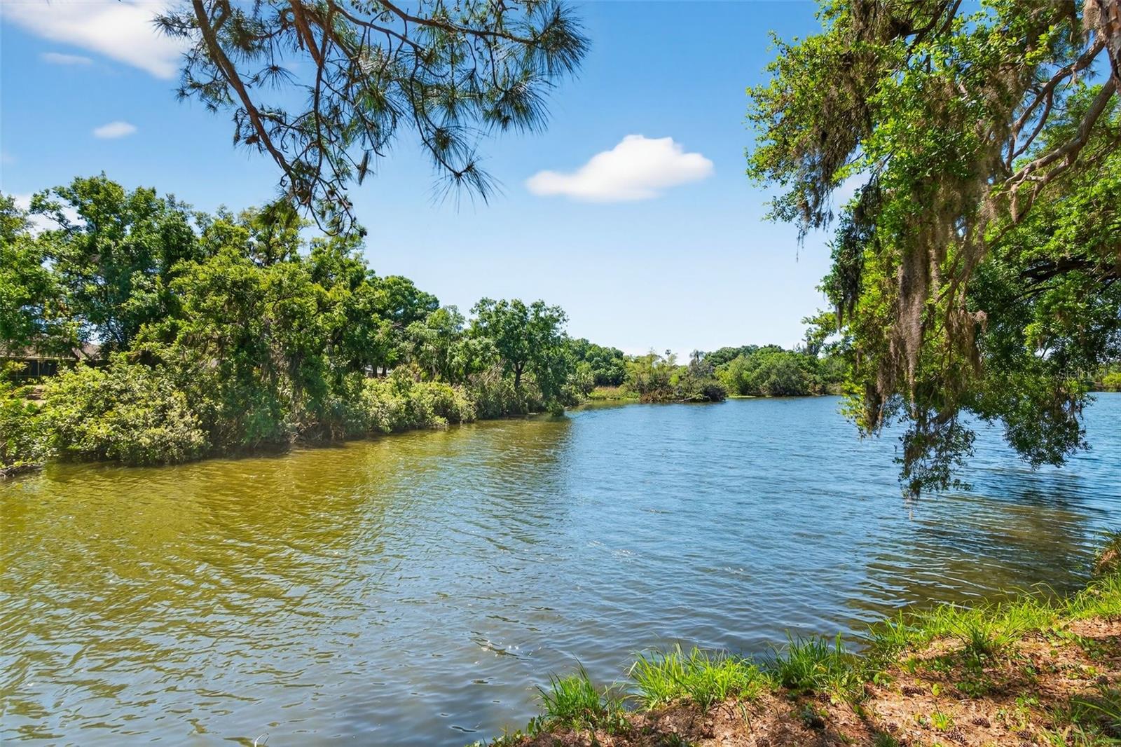 Image 51 of 55 For 4750 Tivoli Avenue